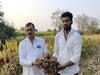 Turmeric Farming : उच्चशिक्षीत तरुणाने नोकरीच्या मागे न लागता यशस्वी केला हळद शेतीचा प्रयोग