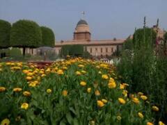 Delhi Mughal Garden Opening: आज से आम जनता के लिए खुला राष्ट्रपति भवन स्थित मुगल गार्डन, जानिए क्या है टाइमिंग और कैसे करें टिकट बुकिंग