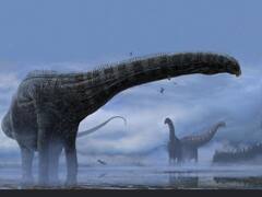 How A Respiratory Illness Could Have Killed 'Dolly' The Dinosaur 150 Million Years Ago