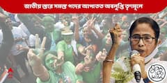 Mamata Banerjee: তৃণমূলের জাতীয় স্তরে সভানেত্রী ছাড়া সব পদের আপাতত অবলুপ্তি, ক্ষমতা মমতার হাতেই