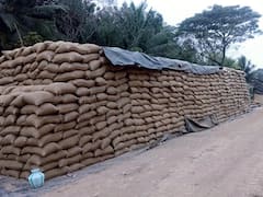 டெல்டா மாவட்டங்களில் மழை - திருப்பனந்தாள் ஒன்றியத்தில் நெல் மூட்டைகள் சேதமாகும் அபாயம்