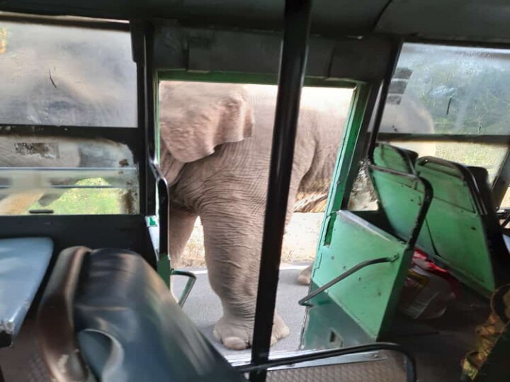 Elephant | மீண்டும் திரும்பிய ஒற்றை கொம்பன் யானை.. பதறி அலறிய ஜவ்வாது மலை அரசு பேருந்து பயணிகள்..