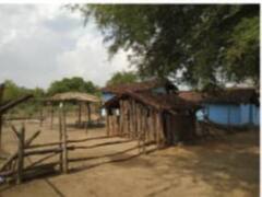 Chhattisgarh News: जानिए- कैसे हुई भुंजिया जनजाति की उत्पत्ति, ये आदिवासी क्यों कहते हैं रसोई घर को लाल बंगला