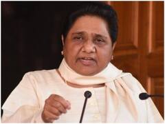 UP Election 2022: औरैया में Mayawati ने सपा-बीजेपी और कांग्रेस को घेरा, बोलीं- तानाशाही से मुक्ति पाने के लिए BSP को सत्ता में लाएं