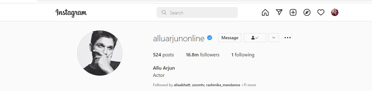 All Arjun Instagram: 16 लाख से ज्यादा फॉलोअर्स वाले अल्लू अर्जुन इंस्टाग्राम पर सिर्फ इस एक शख्स को करते हैं फॉलो