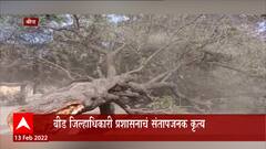 Beed : बीड जिल्हाधिकारी प्रशासनला झालं तरी काय?आंदोलन टाळण्यासाठी महाकाय वृक्षाचा बळी : ABP Majha