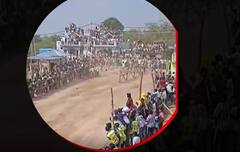 Police Injured in Jallikattu: కుప్పం సరిహద్దు తనిమడుగులో జల్లి కట్టు వేడుకలు..పోలీసులకు గాయాలు