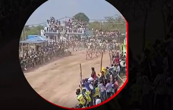 Police Injured in Jallikattu: కుప్పం సరిహద్దు తనిమడుగులో జల్లి కట్టు వేడుకలు..పోలీసులకు గాయాలు
