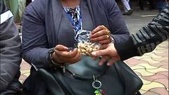 Municipal Election: শিলিগুড়িতে সৌজন্য, এক বেঞ্চে বসে বাদামভাজা খেতে দেখা গেল প্রার্থীদের | Bangla News