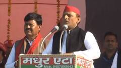 UP Election: Firozabad में Akhilesh का BJP पर बड़ा हमला, 'एटा की जनता करेगी BJP का सफाया'