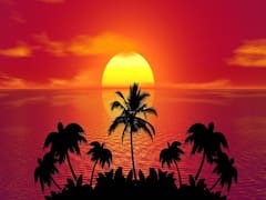 Sun Transit: कर्क वालों को भविष्य में अच्छे फल पाने के लिए बनाने होंगे प्लान, सूर्य का ट्रांजिट करा सकता है अधिक मेहनत