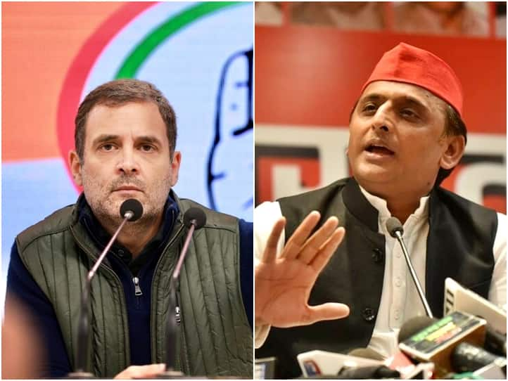 ABG Shipyard Bank Fraud: Rahul Gandhi, Akhilesh Yadav Target Modi Govt