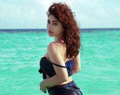 'ગ્રેટ ગ્રાન્ડ મસ્તી' ફેમ Kangna Sharma નો બોલ્ડ અંદાજ થયો વાયરલ