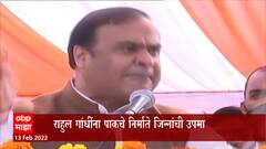 राहुल गांधींना पाकचे निर्माते जिन्नांची उपमा, आसामच्या मुख्यमंत्र्यांचं वादग्रस्त वक्तव्य : Special Report