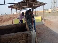 Chhattisgarh Godhan Nyay Yojana: छत्तीसगढ़ के दुर्ग में बिना किसी इन्वेस्टमेंट के लाखों रुपये कमा रही हैं महिलाएं, जानिए कैसे