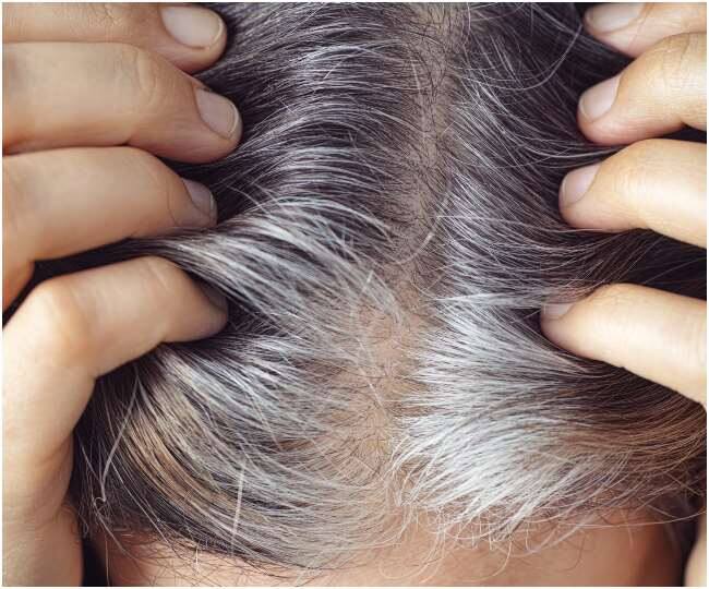 Gray Hair Tips: If you are bothered by gray hair then do this work Grey Hair Tips:  ਸਫ਼ੇਦ ਵਾਲਾਂ ਤੋਂ ਪਰੇਸ਼ਾਨ ਹੋ ਤਾਂ ਕਰੋ ਇਹ 4 ਕੰਮ