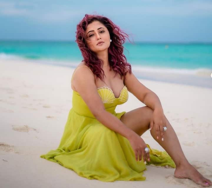 રશ્મિ દેસાઈએ ટીવીની લોકપ્રિય સીરિયલ ઉતરન અને દિલ સે દિલ તકમાં કામ કર્યું છે. જેમાં તેની એક્ટિગની ખુબ પ્રશંસા કરવામાં આવી હતી