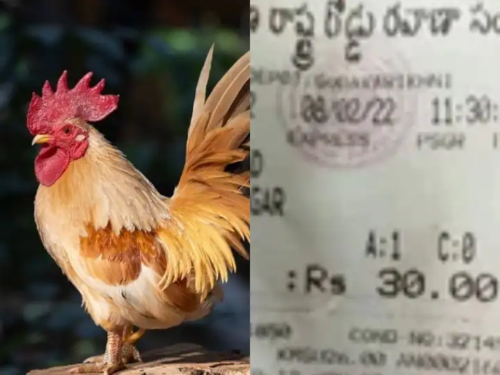 ਸਰਕਾਰੀ ਬੱਸ 'ਚ ਸਫਰ ਕਰਨ 'ਤੇ ਮੁਰਗੇ ਤੋਂ ਲਿਆ ਕਰਾਇਆ, ਟਿਕਟ ਦੀ ਫੋਟੋ ਵਾਇਰਲ