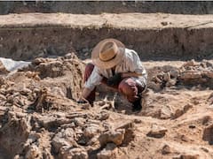 Dutch Researcher Develops Search Engine AGNES, A 'Google For Archaeologists'