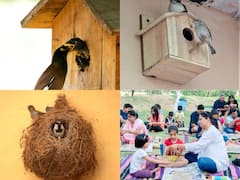 New Delhi: आखिर राकेश खत्री को क्यों कहा जा रहा 'नेस्ट मैन ऑफ इंडिया', जानिए क्या है पूरा मामला