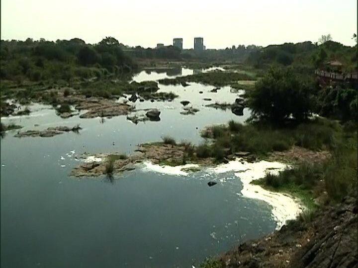 गोदावरी नदीचे पात्रही फेसाळलेल्या पाण्याने पांढरे झाले आहे.