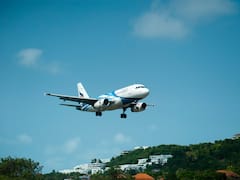 Snake On Plane: విమానంలో స్నేక్ బాబు ఫ్రీ జర్నీ, ఆ పాము ఎలా దూరిందబ్బా?