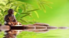 Feng Shui Tips :ઘરમાં મુખ્ય દ્વાર માટે અપનાવો ફેંગસૂઇના આ કારગર ઉપાય, ચમકી ઉઠશે કિસ્મત