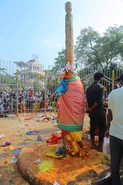 Medaram Jatara: జన జాతరకు కదులుతున్న జనం