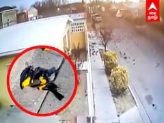 Mexico Bird Fall from Sky: கும்பலாக இறந்து விழுந்த பறவைகள்..அதிர்ச்சியடைய வைக்கும் சிசிடிவி காட்சிகள்