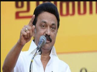 Chennai Corporation Election Result: சென்னையில் 18 வார்டுகளில் திமுக வெற்றி, அதிமுக 1 - முழு விவரம் இதோ