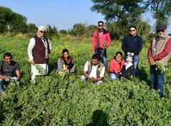 Ashwagandha Farming: અશ્વગંધાની ખેતી કરી ખેડૂતોએ ચોંકાવ્યા, અધિકારીએ કહ્યું- ક્યારેય કલ્પના પણ નહોતી કરી