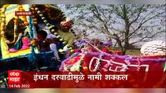 Amravati: शेतकऱ्याच्या मुलाची बैलगाडीतून वरात, इंधन दरवाढीमुळे शक्कल ABP Majha