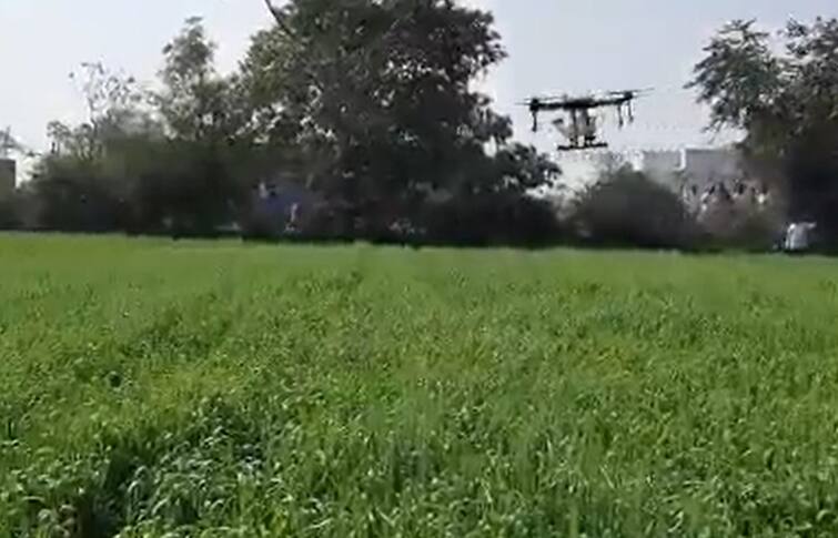 Liquid nano urea sprinkle through drone demonstration held in Mansa watch video Agriculture News: માણસામાં ડ્રોન દ્વારા પ્રવાહી નેનો યુરિયાનો કરવામાં આવ્યો છંટકાવ, જુઓ વીડિયો