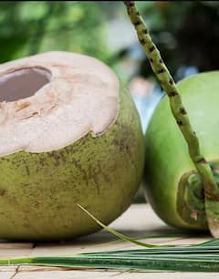 Appanapally Coconut Toys: కోనసీమ కొబ్బరి పీచుతో అదిరిపోయే ఆకృతులు | Konaseema | ABP Desam