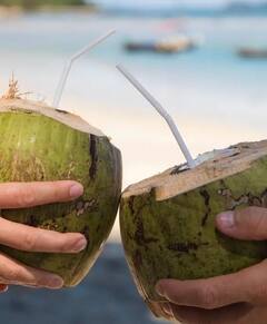 उन्हाळा येतोय...रोज प्या नारळपाणी! हृदय, ब्लड प्रेशर आणि वजन नियंत्रित ठेवण्यासाठी फायदेशीर