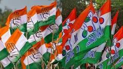 Municipal Election : বহরমপুরে TMC প্রার্থীর দেওয়াল লিখন মুছে দেওয়ার অভিযোগ, কাঠগড়ায় কংগ্রেস| Bangla News