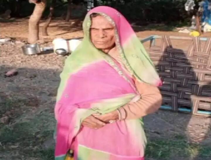 Rajasthan Crime News: In Udaipur Grandson killed Grandmother check details Crime News: પૌત્રએ નિર્દયતાથી કરી દાદીની હત્યા, કારણ જાણીને ચોંકી જશો
