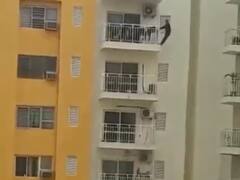 फरीदाबाद में बिल्डिंग के 12वें फ्लोर से लटककर युवक ने की एक्सरसाइज, परिजनों ने मांगी माफी