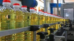 Edible oil price down in wholesale market mustard oil price in india Edible Oil Price: ਹੋਲੀ ਤੋਂ ਬਾਅਦ ਵੀ ਸਰ੍ਹੋਂ ਦੇ ਤੇਲ ਦੀਆਂ ਕੀਮਤਾਂ ਡਿੱਗੀਆਂ, ਖਾਣ ਵਾਲਾ ਤੇਲ ਹੋਇਆ ਸਸਤਾ, ਚੈੱਕ ਕਰੋ ਕੀਮਤਾਂ