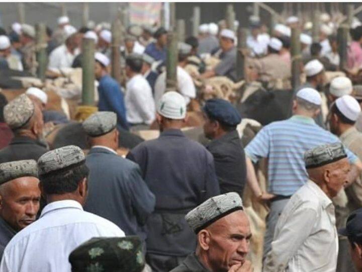 uighur muslim forced labor xinjiang in china xi jinping un report marathi news China Uighur Muslim : शिनजियांगमध्ये मुस्लिमांवर दडपशाही, सक्तीची मजुरी; UN च्या रिपोर्टमधून समोर