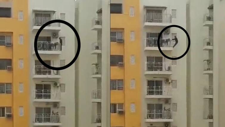 Dangerous stunts done on 12th floor in society of Faridabad, video went viral on social media ફરીદાબાદની સોસાયટીમાં 12મા માળેથી કર્યો ખતરનાક સ્ટંટ, વીડિયો સોશિયલ મીડિયા પર થયો વાયરલ