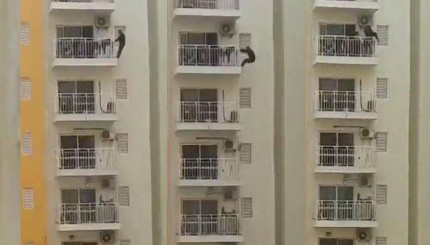Faridabad: Man doing exercise by hanging from 12th floor balcony, video goes viral Viral Video: ব্যালকনির রেলিং থেকে ঝুলে দেহ, আজব যোগাসন দেখে চোখ কপালে প্রতিবেশীদের