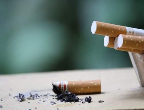 WHO launches Quit Tobacco App WHOએ લોન્ચ કરી મોબાઇલ એપ, તમાકુની લત છોડવા માંગતા લોકોને કરશે મદદ