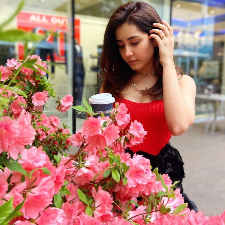 రాశి ఖన్నా ఫోటోలు -Image credit: RaashiKhanna/Instagram
