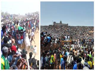 ஆயிரக்கணக்கானோர் திரண்ட அரளிப்பாறை மஞ்சுவிரட்டு... ஒருவர் பலி... 110  பேர் காயம்!