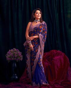 Madhuri Dixit Gracefully Poses In A Blue Saree Worth ₹1.15 Lakh - See PICS