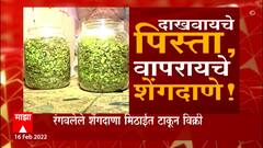 Nagpur : दाखवायचे पिस्ता, वापरायचे शेंगदाणा! नागपुरात पिस्त्याच्या नावाखाली शेंगदाणा Special Report