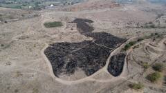 PHOTO :  आगीनं हिरावलं सह्याद्री देवराईचं सौंदर्य, पण 15 दिवसात बहरणार झाडं