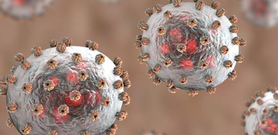 Lassa Virus: કોરોના બાદ વધુ એક ખતરનાક વાયરસ આવ્યો સામે, જાણો કોને છે સૌથી વધુ જોખમ Lassa Virus: કોરોના બાદ વધુ એક ખતરનાક વાયરસ આવ્યો સામે, જાણો કોને છે સૌથી વધુ જોખમ