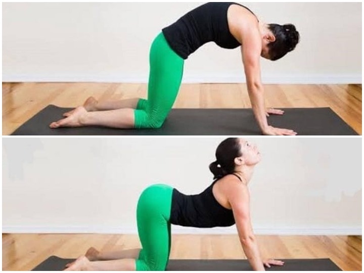Everything You Need To Know About Ustrasana or Camel Pose in Yoga |  Femina.in